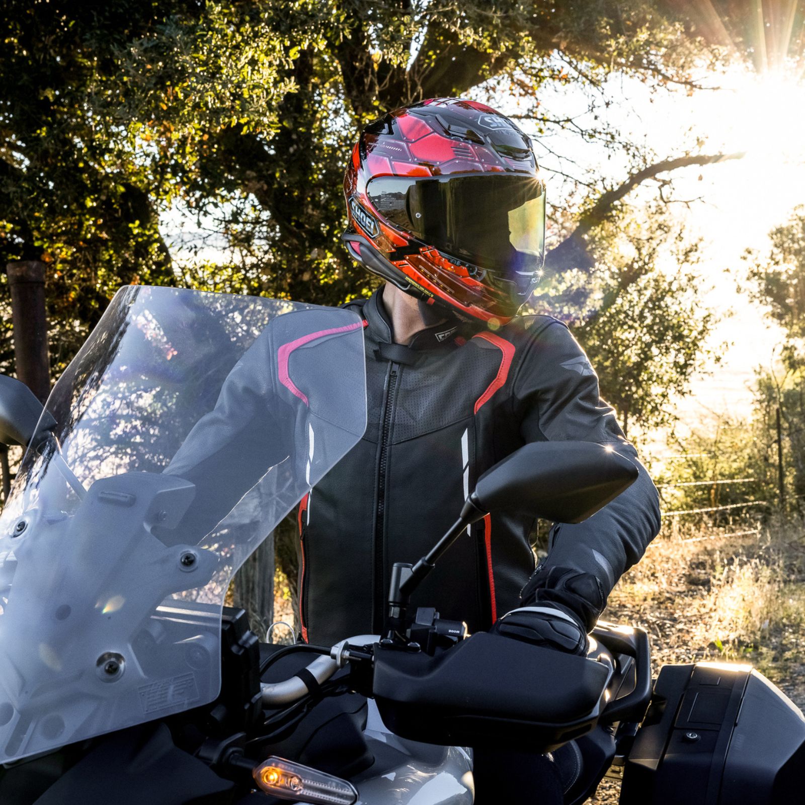 Cortech Chicane Leather Jacket – Cortech USA